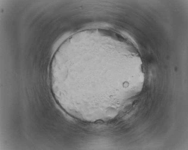 X0000077391103200611101748