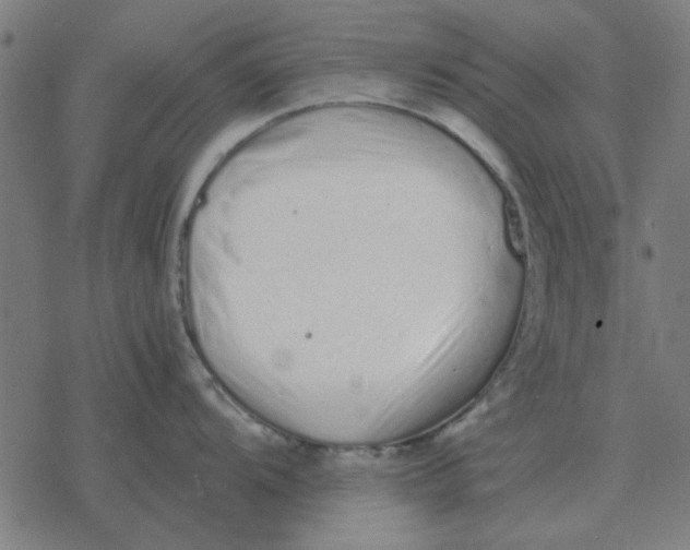 X0000077391104200611101748