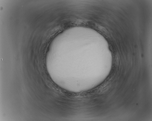 X0000077391105200611101747