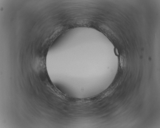 X0000077391107200611101747