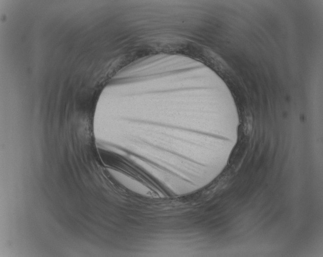 X0000077391108200611101747