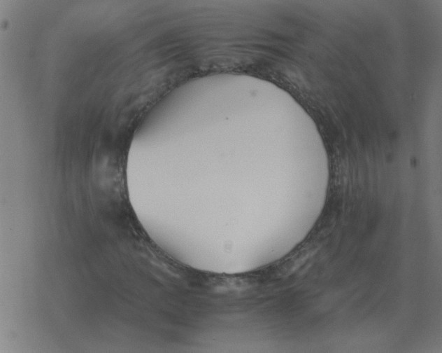 X0000077391109200611101747