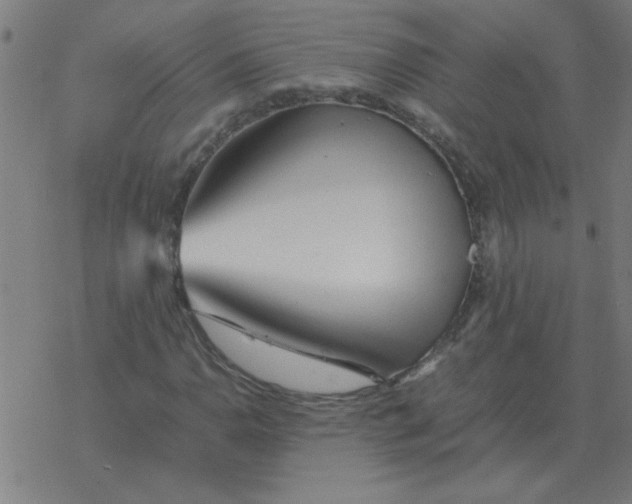 X0000077391110200611101747