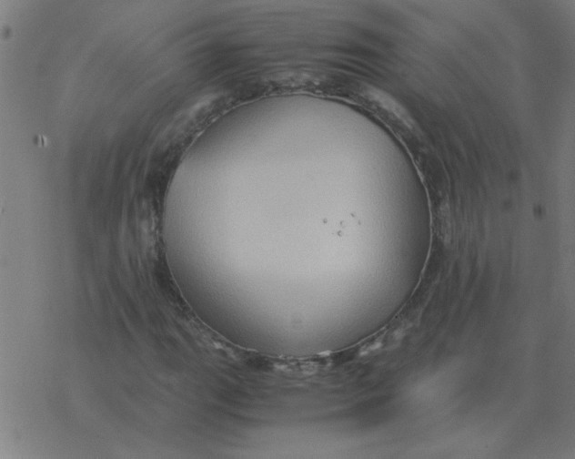 X0000077391111200611101747