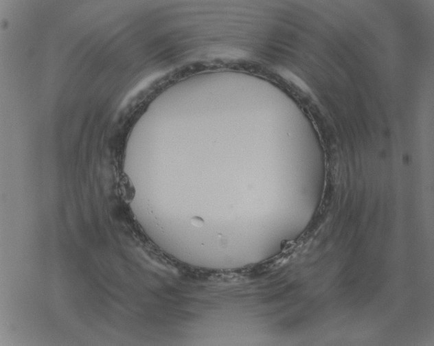 X0000077391112200611101747