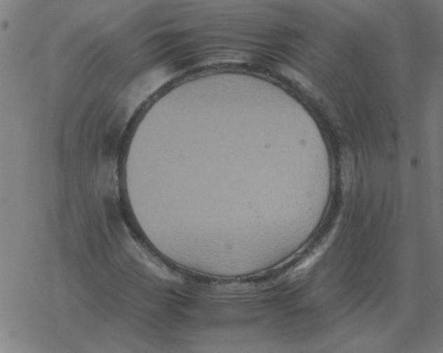 X0000077391113200611101747