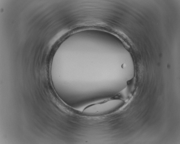 X0000077391114200611101747