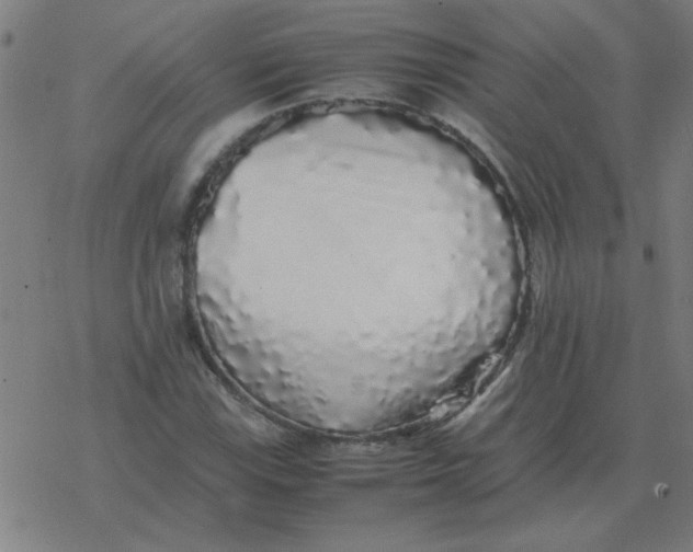 X0000077391115200611101747