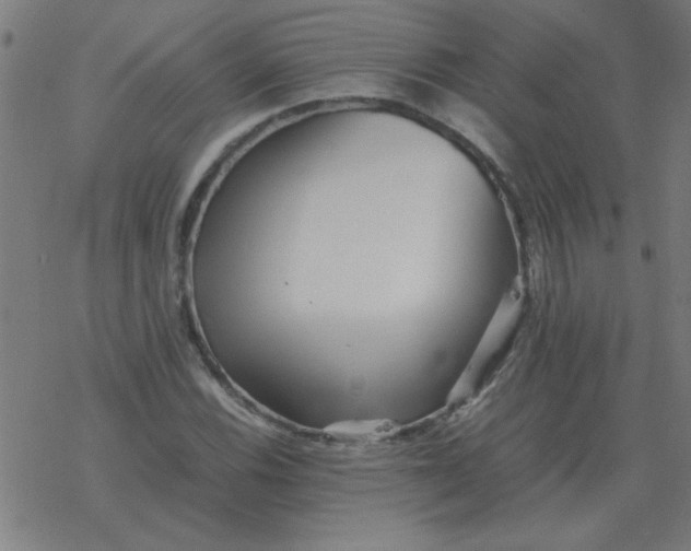 X0000077391116200611101747