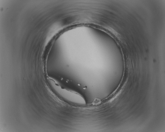 X0000077391118200611101747