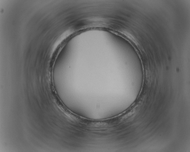 X0000077391119200611101747