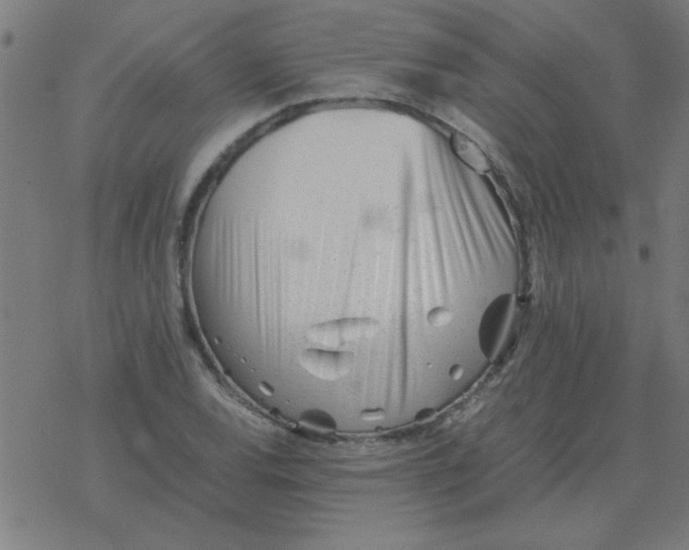 X0000077391120200611101747