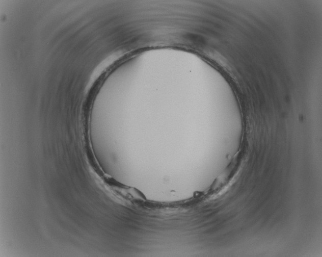 X0000077391122200611101747