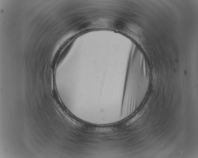 X0000077391123200611101747