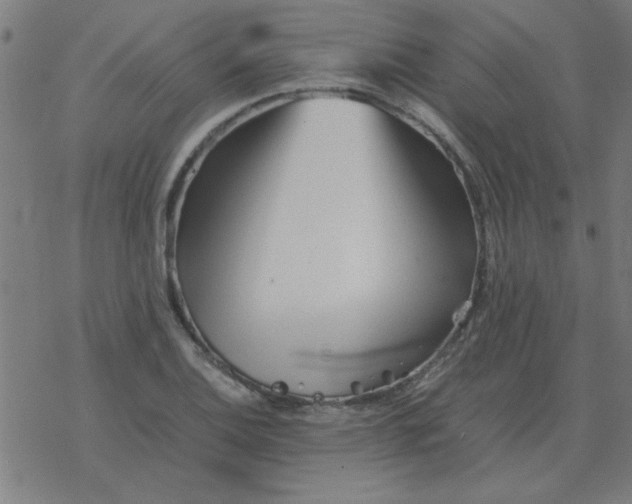 X0000077391124200611101748