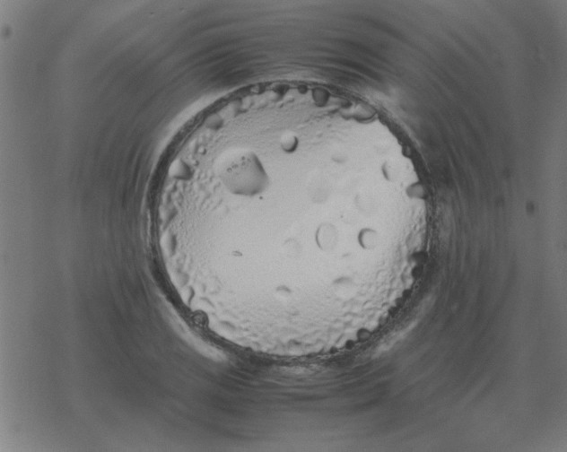 X0000077391125200611101748