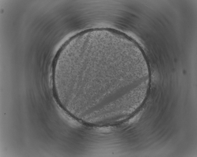 X0000077391126200611101748