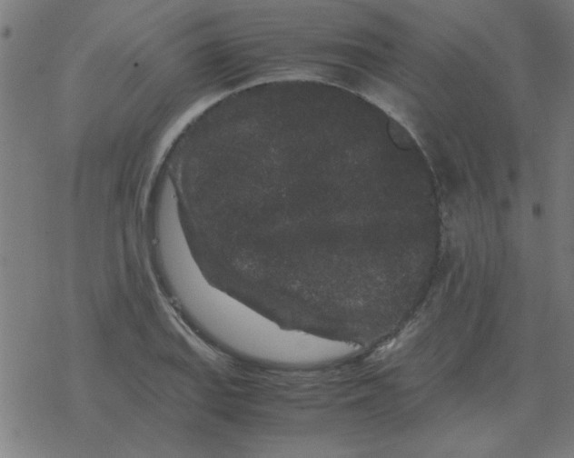 X0000077391127200611101748