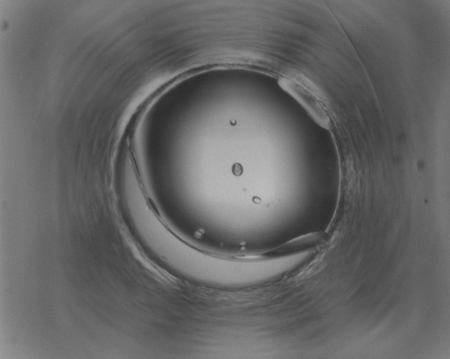 X0000077391128200611101748