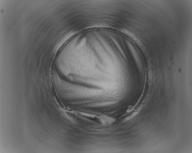 X0000077391129200611101748