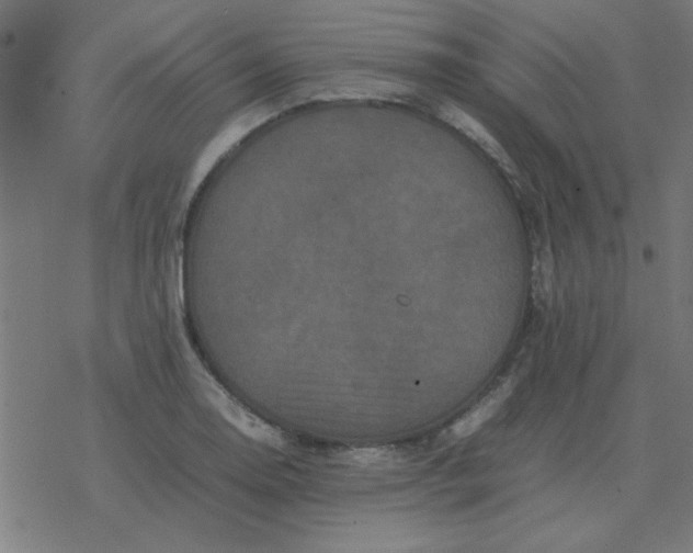 X0000077391130200611101748