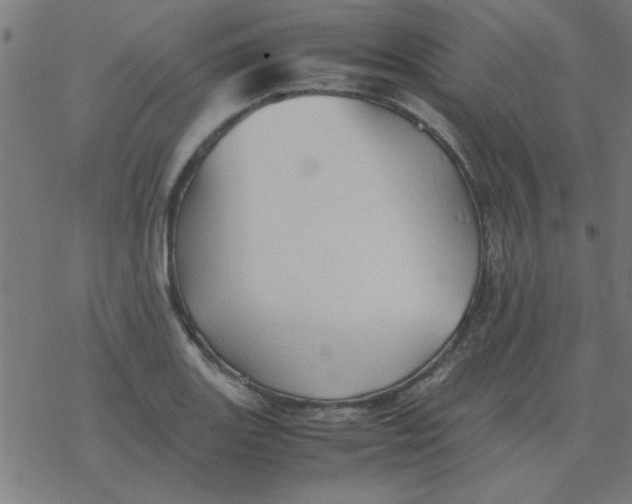 X0000077391131200611101748