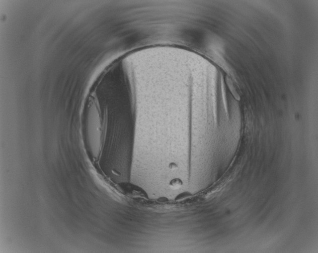 X0000077391132200611101748