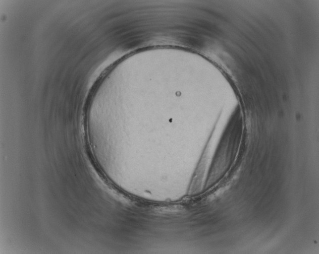 X0000077391133200611101748