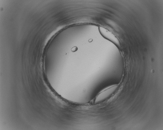 X0000077391134200611101748