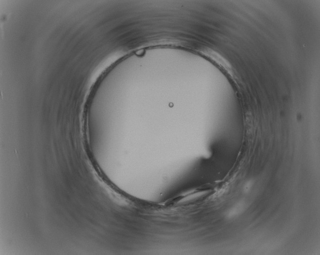 X0000077391135200611101748