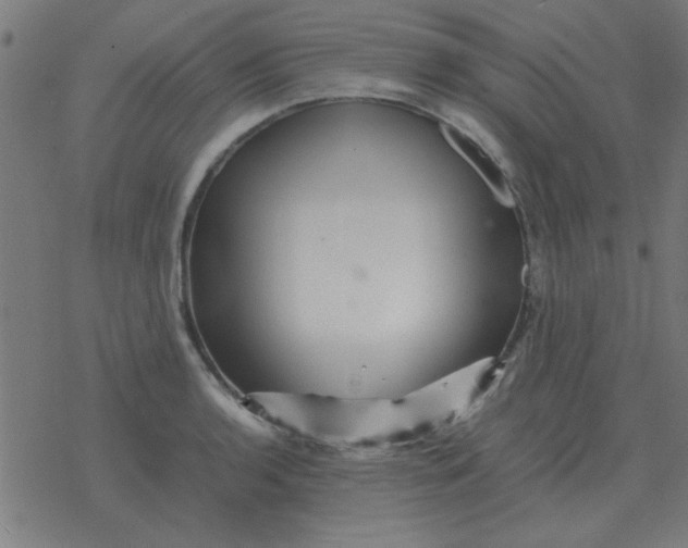 X0000077391136200611101748