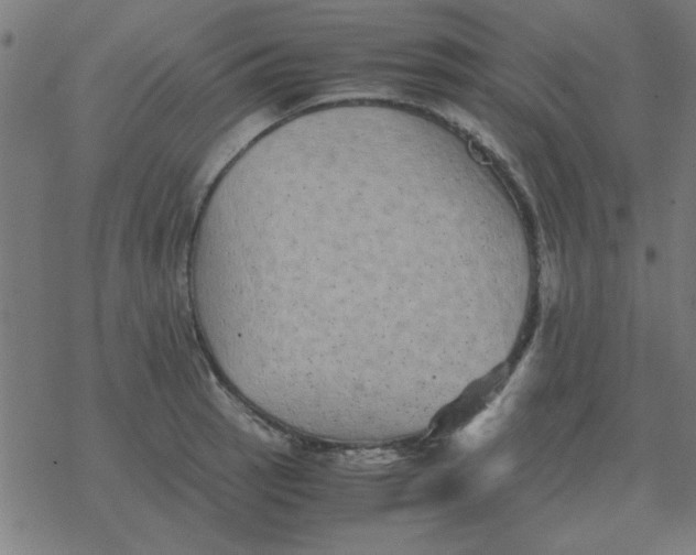 X0000077391137200611101748