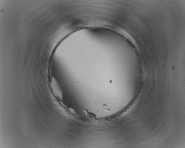 X0000077391138200611101748