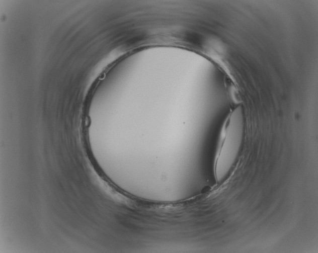 X0000077391139200611101748