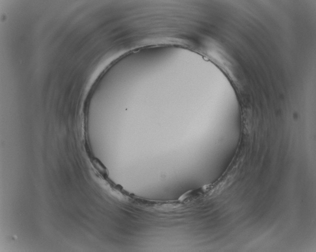 X0000077391140200611101748