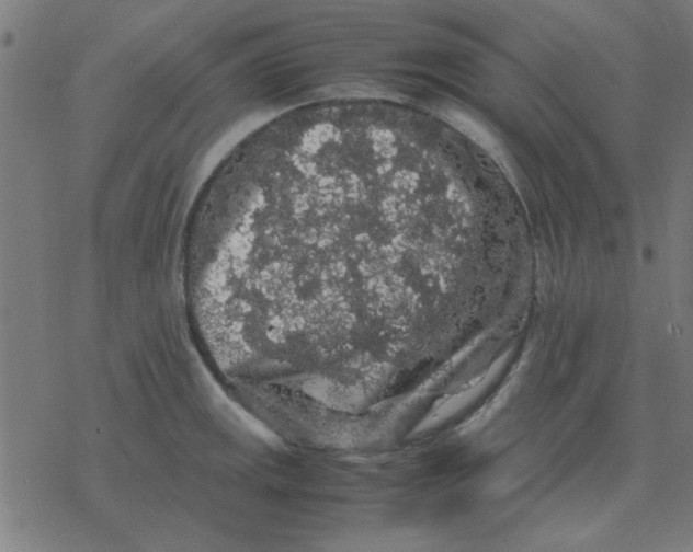 X0000077391141200611101748