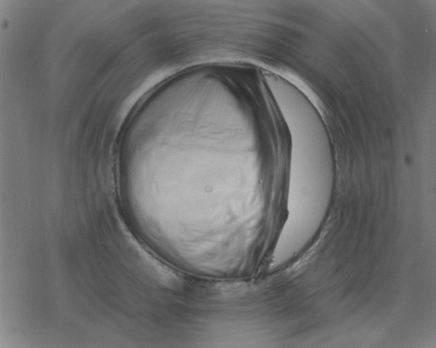 X0000077391142200611101748