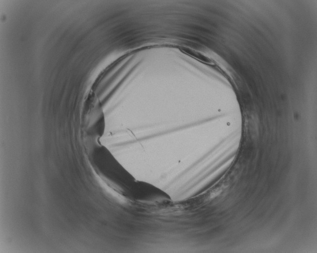 X0000077391143200611101748