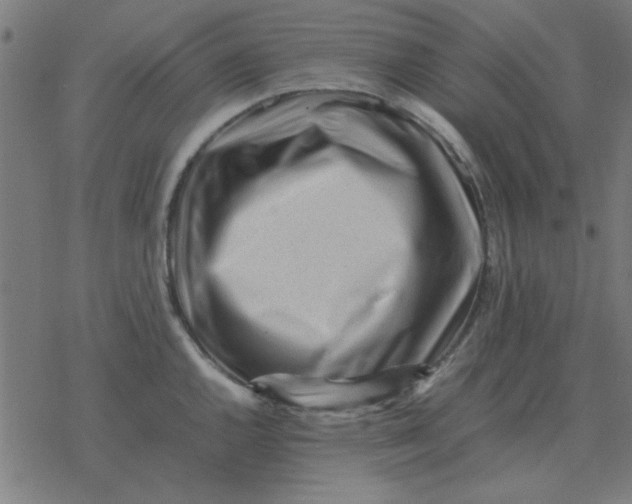 X0000077391144200611101748