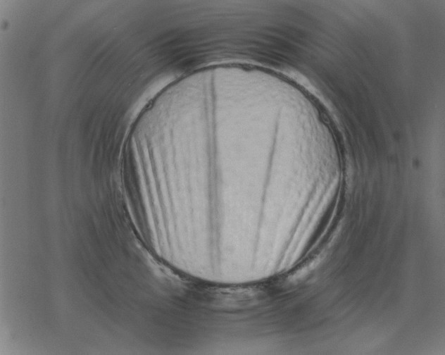 X0000077391145200611101748