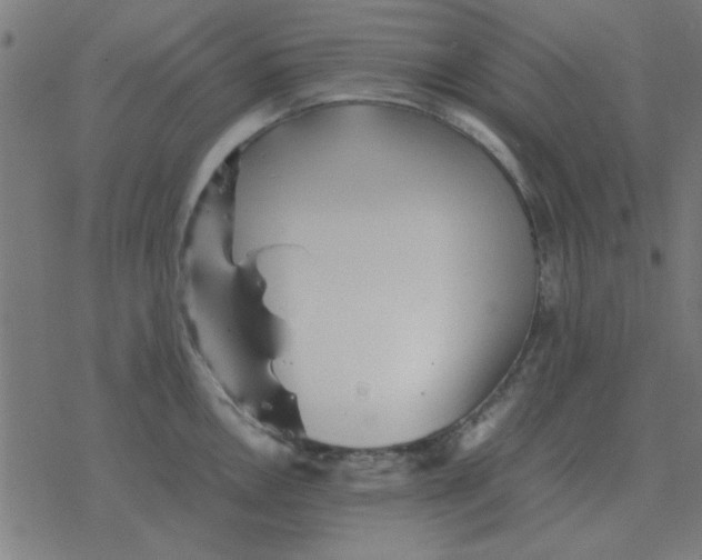 X0000077391146200611101748