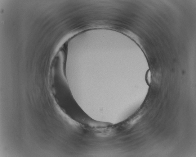 X0000077391147200611101748