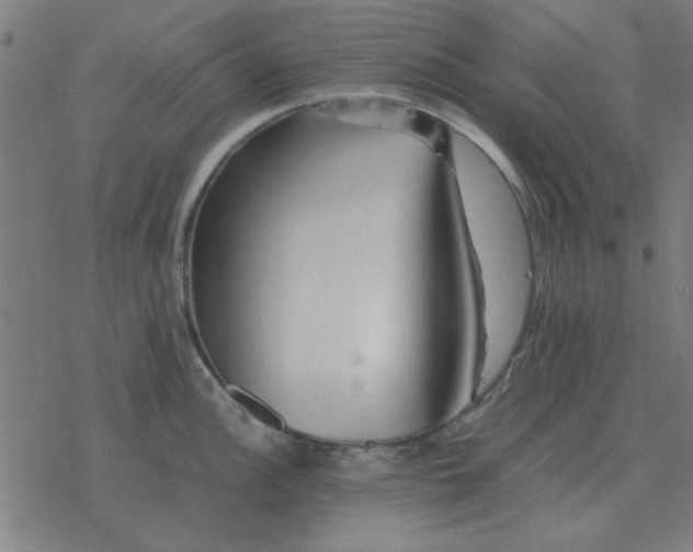 X0000077391148200611101748