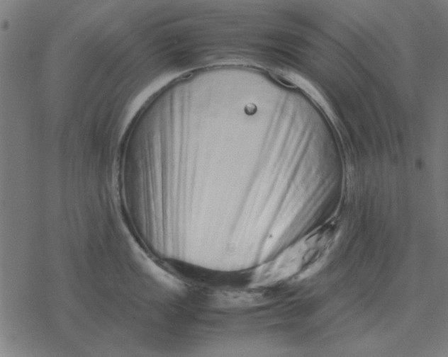 X0000077391149200611101748