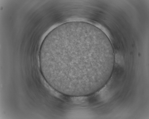 X0000077391150200611101748