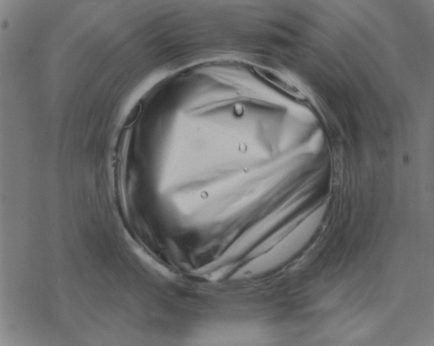 X0000077391151200611101748