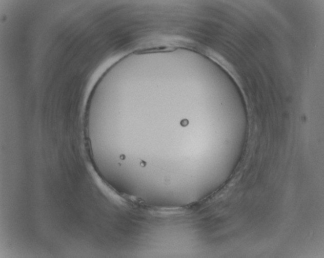 X0000077391152200611101748