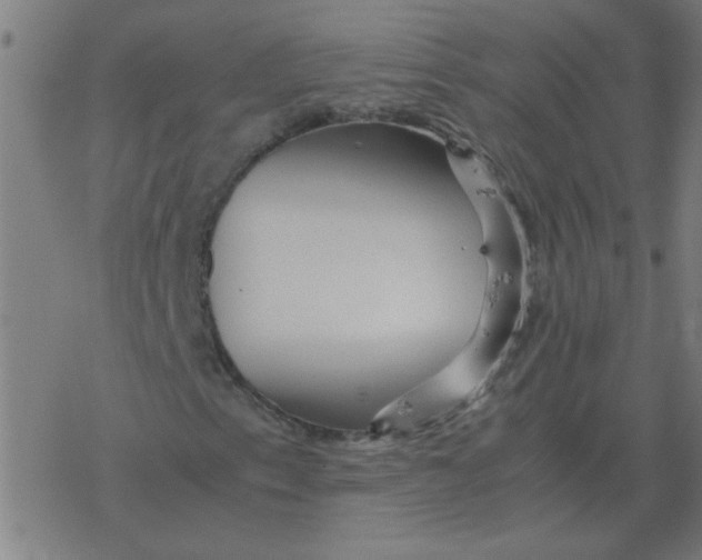 X0000077391153200611101747