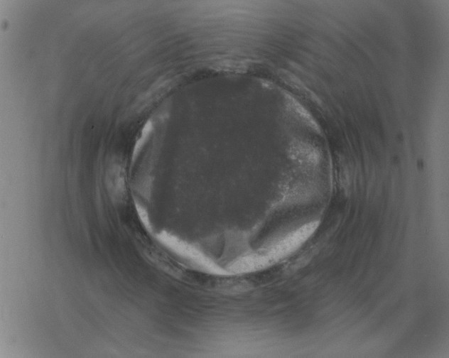 X0000077391154200611101747