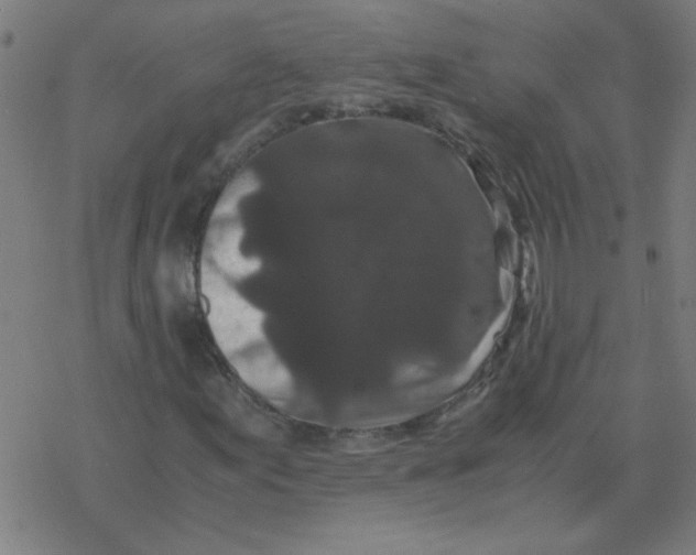 X0000077391155200611101747